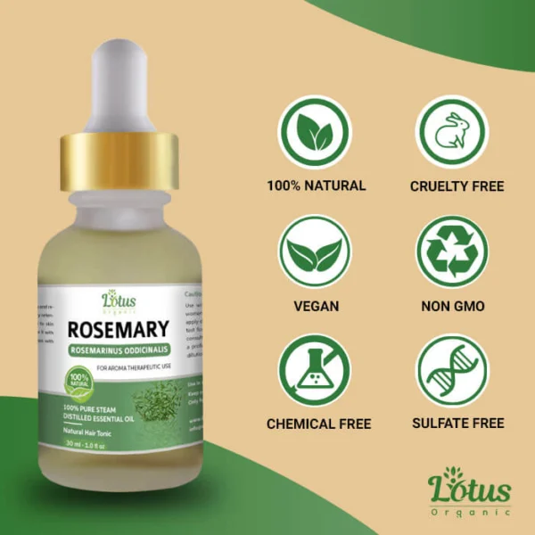 Rosemary Essential Oil - Image 7