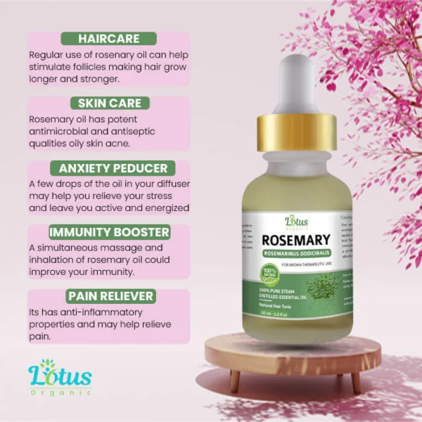 Rosemary Essential Oil - Image 12