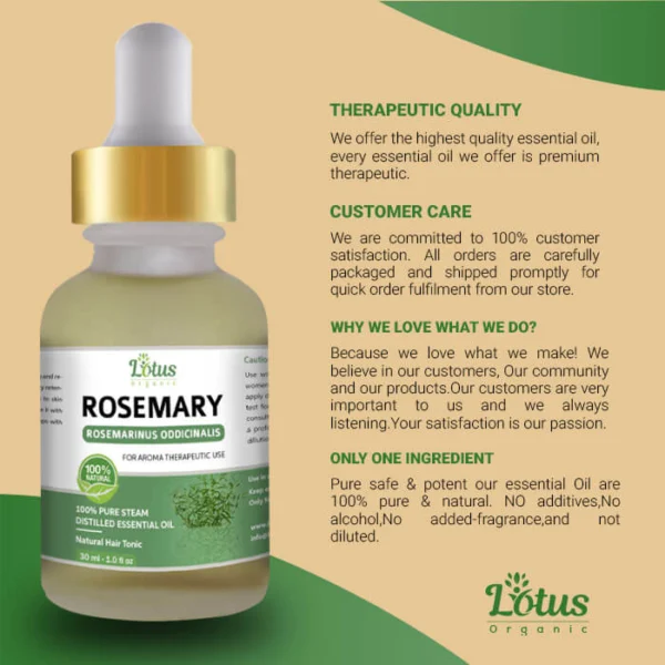 Rosemary Essential Oil - Image 8