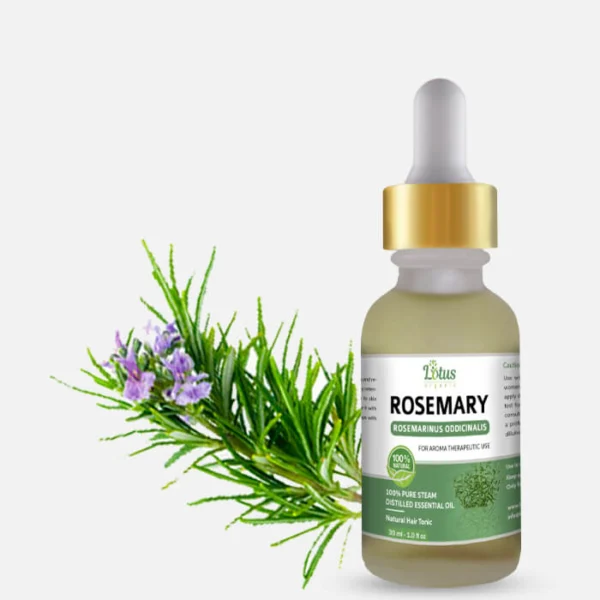 Rosemary Essential Oil