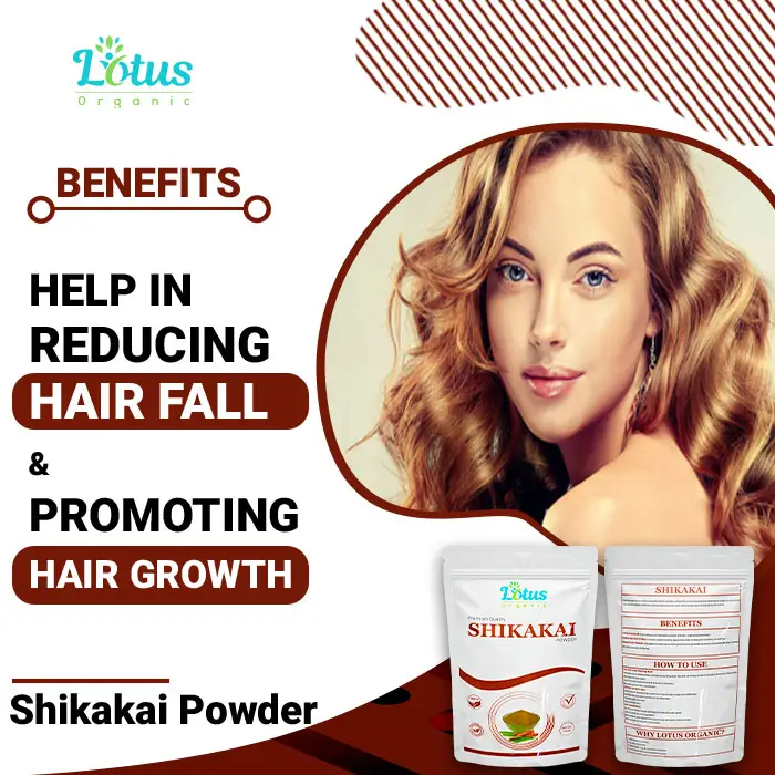 Shikakai Powder - Image 4