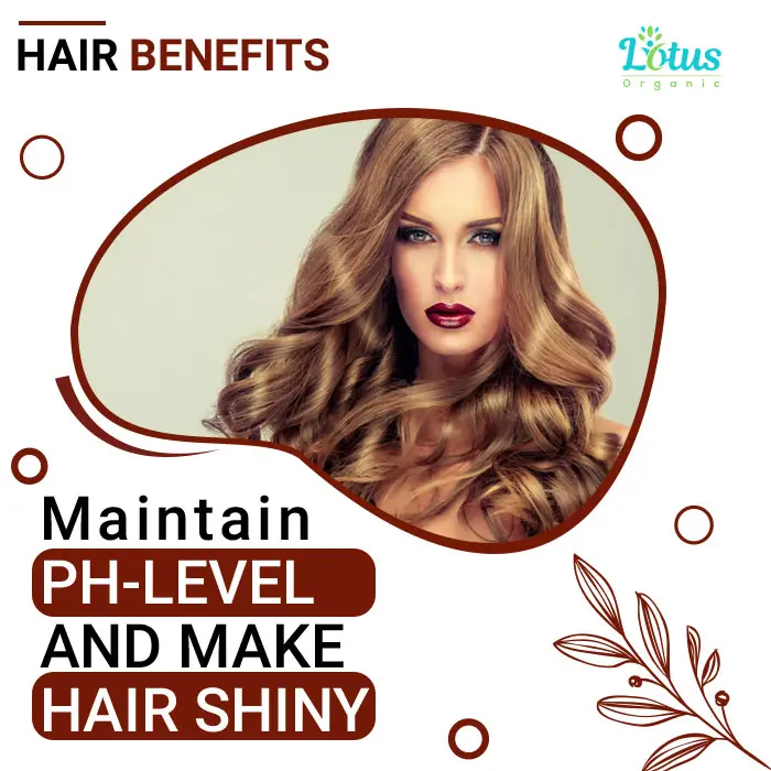 Shikakai Powder - Image 5