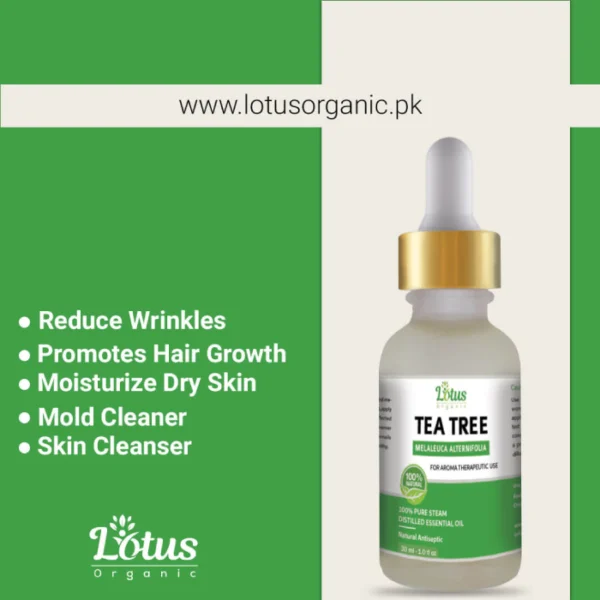Tea Tree Oil - Image 4