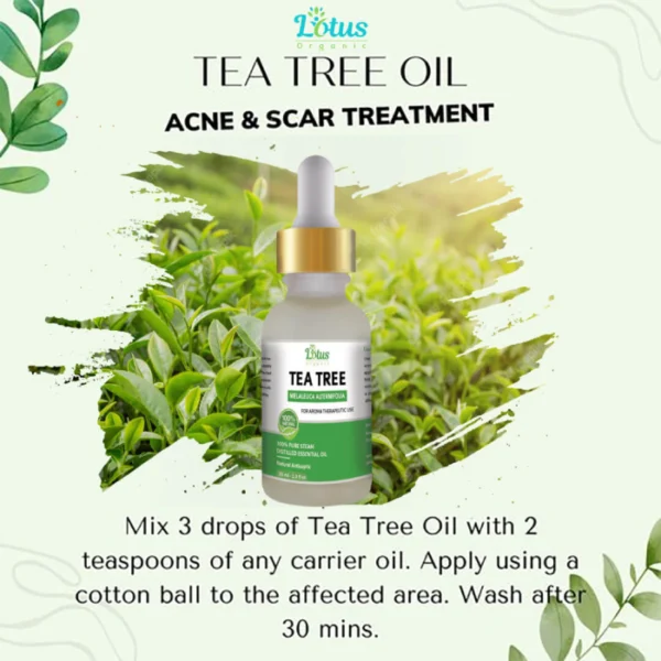 Tea Tree Oil - Image 3