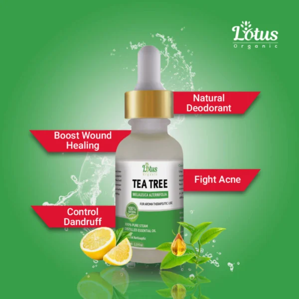 Tea Tree Oil - Image 2