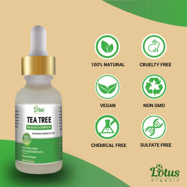 Tea Tree Oil - Image 14