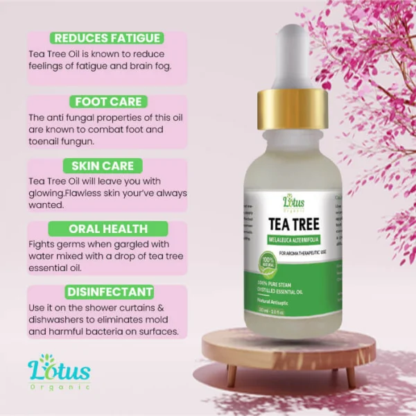 Tea Tree Oil - Image 13