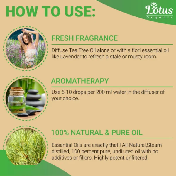 Tea Tree Oil - Image 9