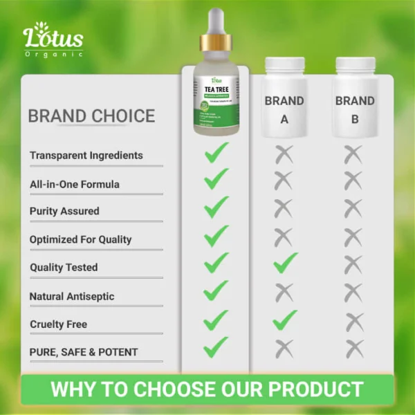 Tea Tree Oil - Image 12
