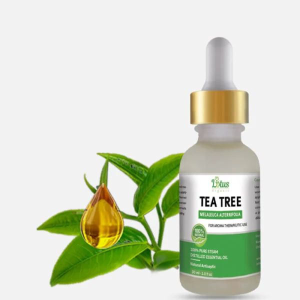 Tea Tree Oil