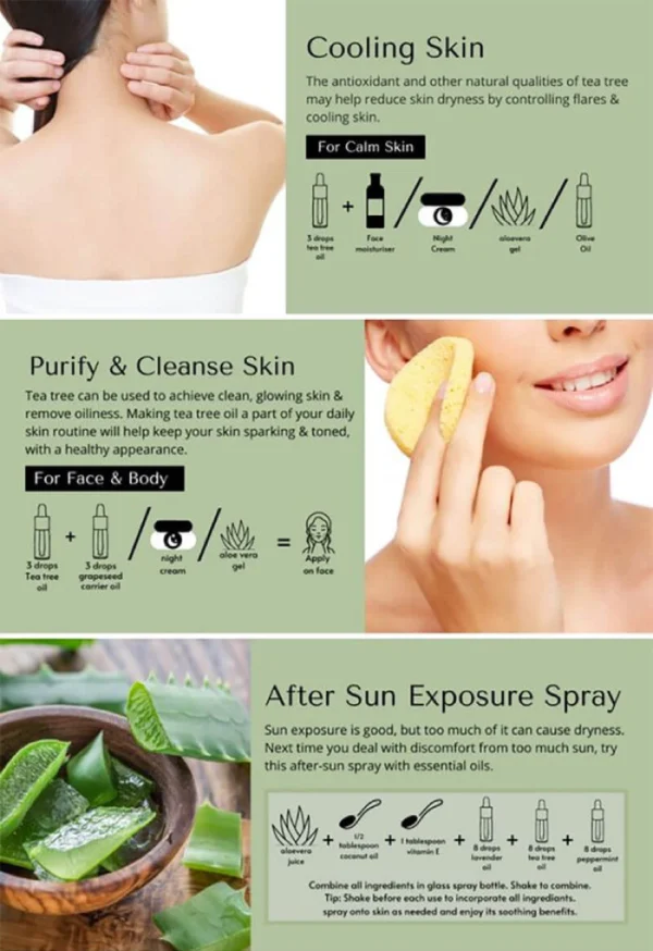 Tea Tree Oil - Image 6