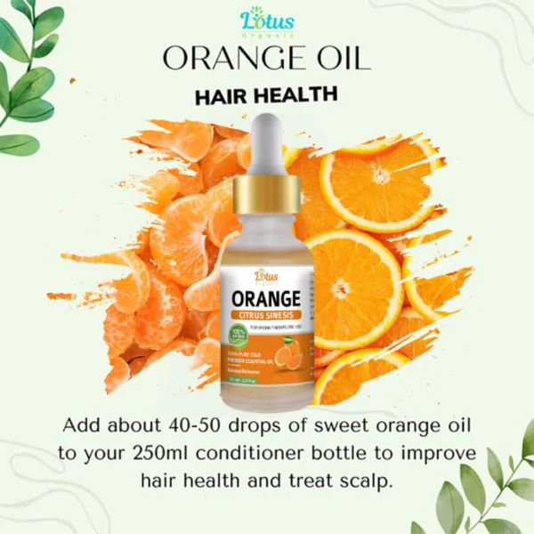 Orange Essential Oil - Image 3