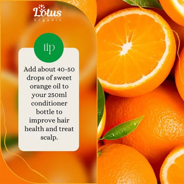 Orange Essential Oil - Image 5