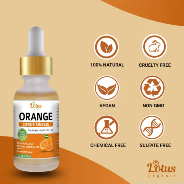 Orange Essential Oil - Image 6