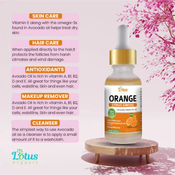 Orange Essential Oil - Image 11