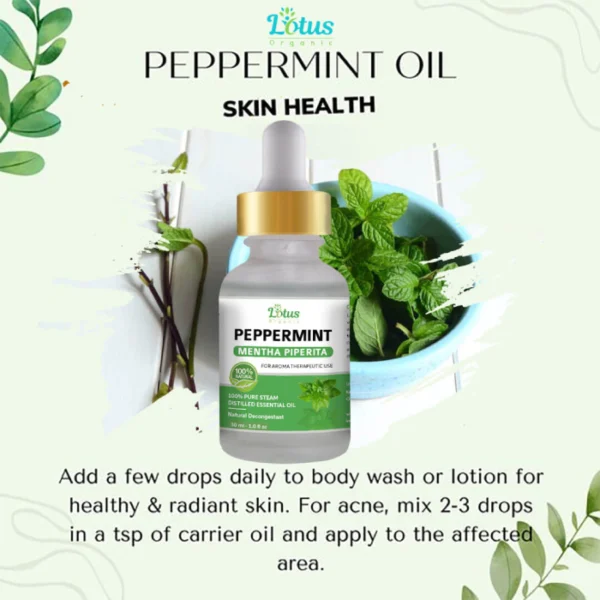 Peppermint Essential Oil - Image 13