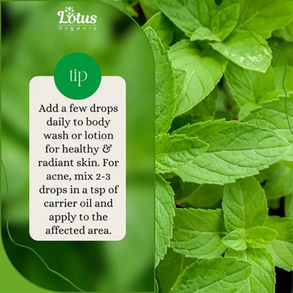 Peppermint Essential Oil - Image 12