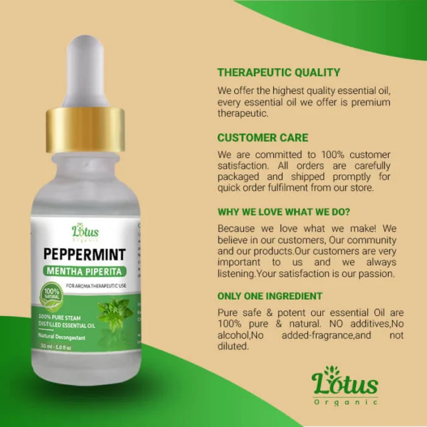 Peppermint Essential Oil - Image 8