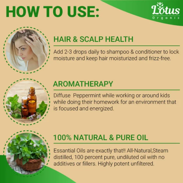 Peppermint Essential Oil - Image 7