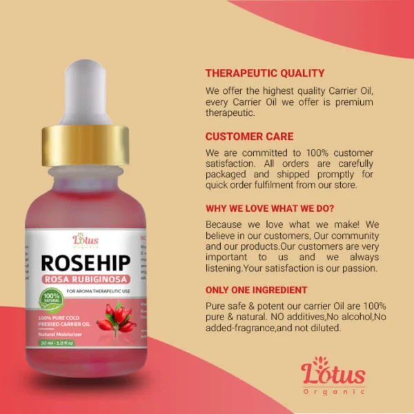Rosehip Oil - Image 10